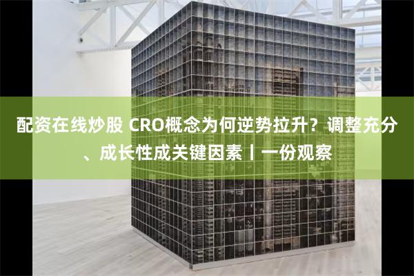 配资在线炒股 CRO概念为何逆势拉升？调整充分、成长性成关键因素丨一份观察