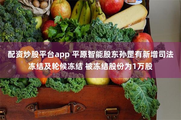 配资炒股平台app 平原智能股东孙罡有新增司法冻结及轮候冻结 被冻结股份为1万股