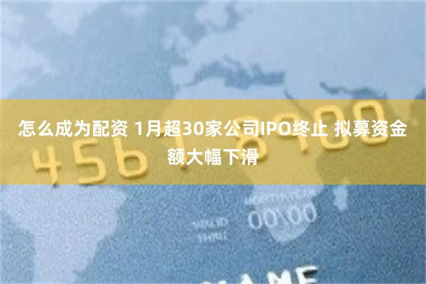 怎么成为配资 1月超30家公司IPO终止 拟募资金额大幅下滑