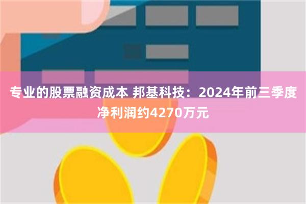 专业的股票融资成本 邦基科技：2024年前三季度净利润约4270万元