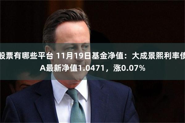 股票有哪些平台 11月19日基金净值：大成景熙利率债A最新净值1.0471，涨0.07%