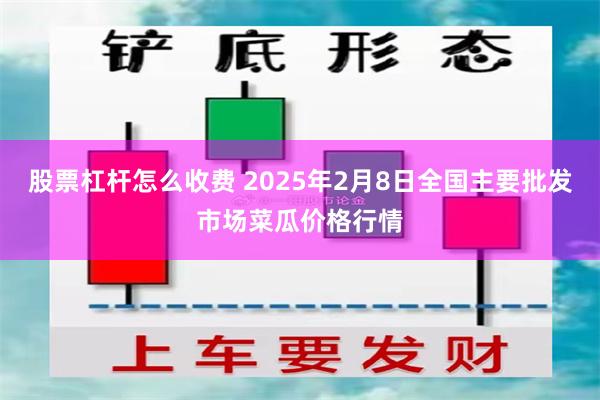 股票杠杆怎么收费 2025年2月8日全国主要批发市场菜瓜价格行情