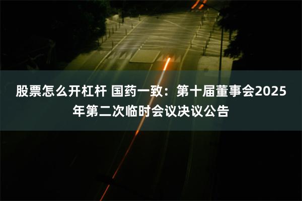 股票怎么开杠杆 国药一致：第十届董事会2025年第二次临时会议决议公告